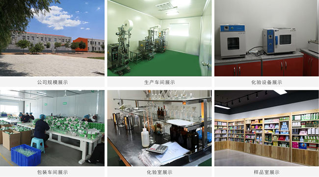 壓片糖果代加工廠(chǎng)家-廠(chǎng)區規模展示-德州健之源