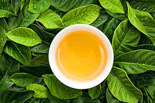 代用茶代加工廠(chǎng)家-貼牌生產(chǎn)趨勢-德州健之源