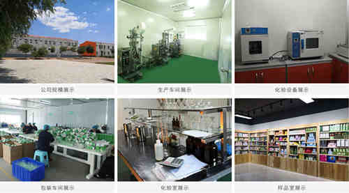 代餐粉代加工廠(chǎng)家生產(chǎn)設備-德州健之源生物科技有限公司