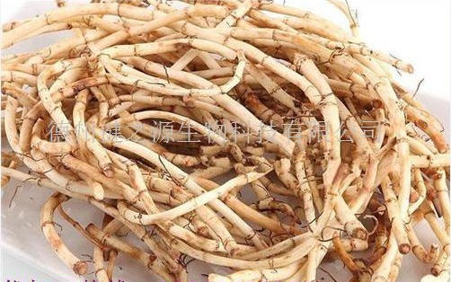 山東保健食品oem貼牌代加工廠(chǎng)-德州健之源