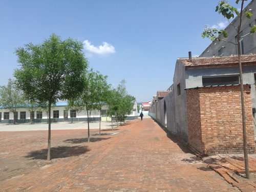 德州健之源專(zhuān)業(yè)承接袋泡茶oem加工,袋泡茶加工,袋泡茶代加工袋泡茶oem加工,袋泡茶加工,袋泡茶代加工...等等為您提供一站式全方位的服務(wù)，從原料、配方、包裝等一切由雙方協(xié)商解決?，F面向全國承接各類(lèi)袋泡茶保健茶批發(fā)制作來(lái)料加工、包工包料。