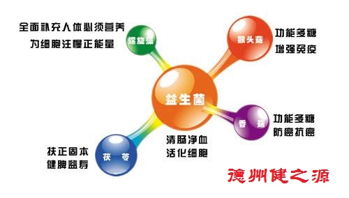 腸胃功能差，益生菌就可以解決一切