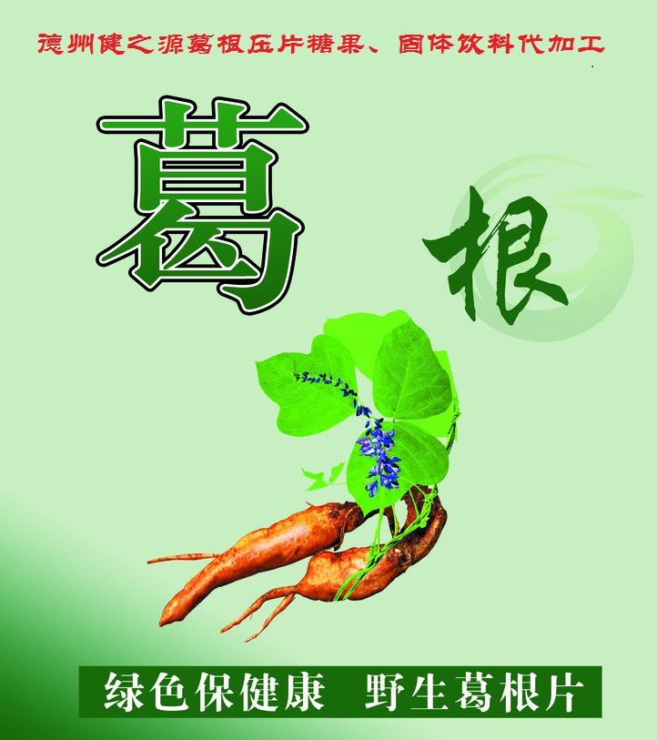 葛根，男女通用的人體調理專(zhuān)家