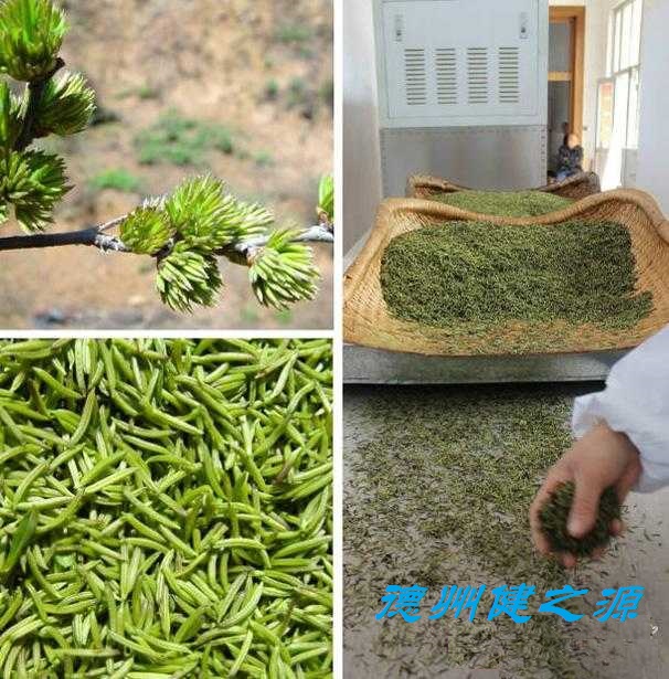 山東oem貼牌代加工保健品生產(chǎn)加工廠(chǎng)家-德州健之源