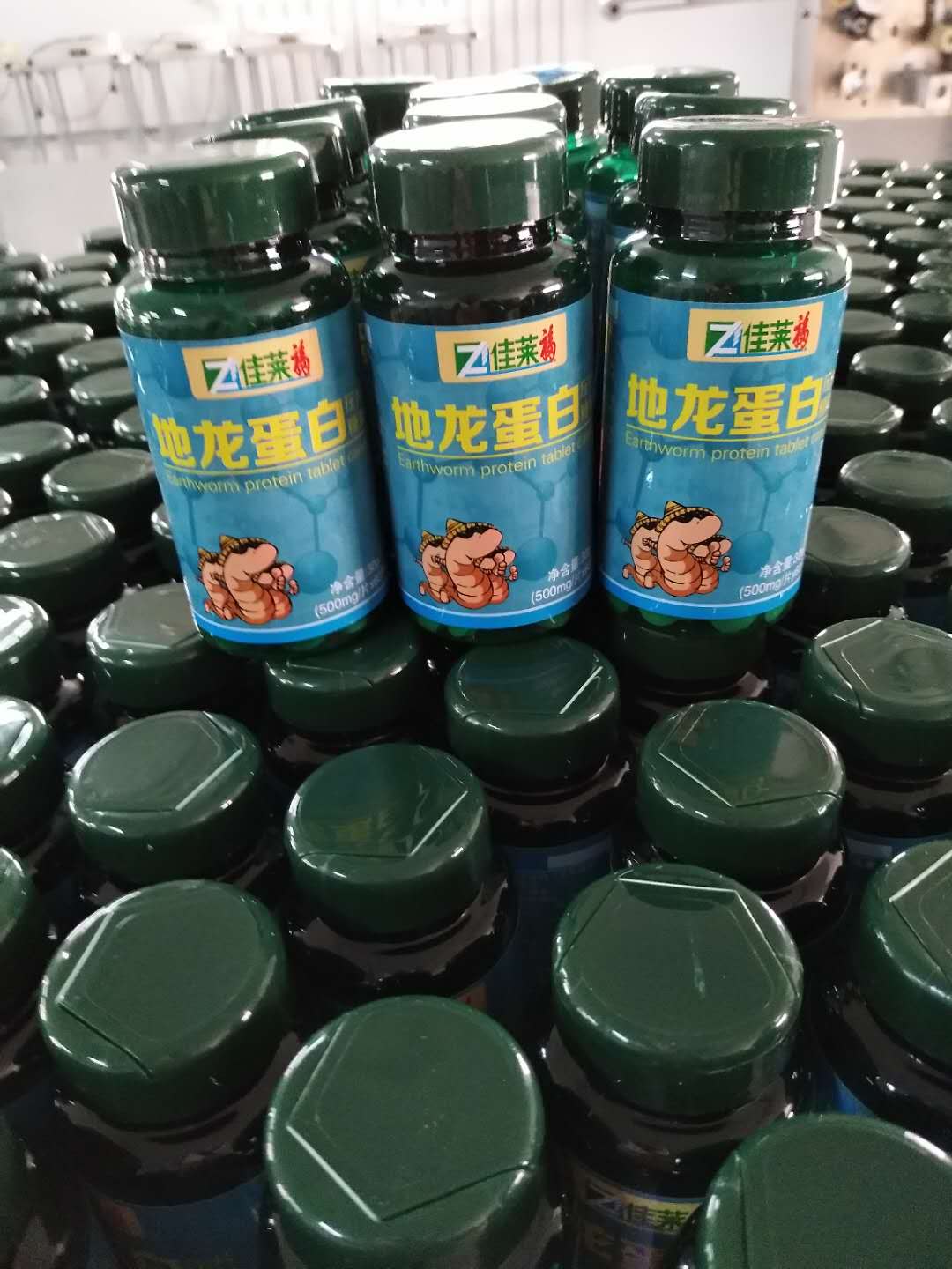 保健品廠(chǎng)家_地龍蛋白壓片糖果代加工_德州健之源