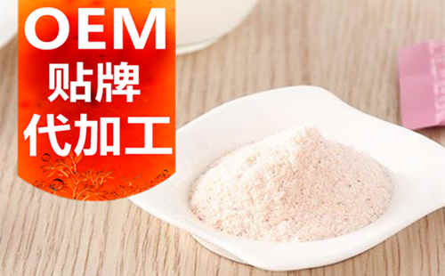 山東代餐粉代加工廠(chǎng)家-加工費用-德州健之源